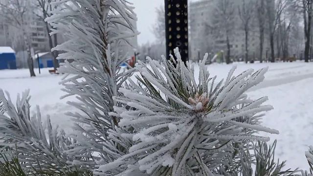 New year's Moscow Снегопад в Успенском. Горки 10 смотреть онлайн