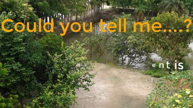 how to ask Question using could you tell me смотреть онлайн