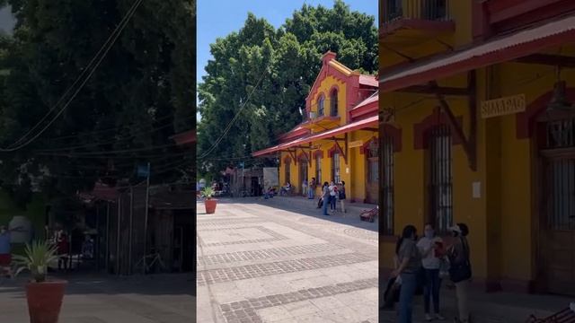 Изучаем музей мумий в Мексике, пробуем кактус на вкус и показываем кладбище IXX века смотреть онлайн