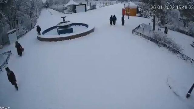 В соцсетях обсуждают видео якобы уличающее зоозащитников в отравлении собаки в Якутске смотреть онлайн