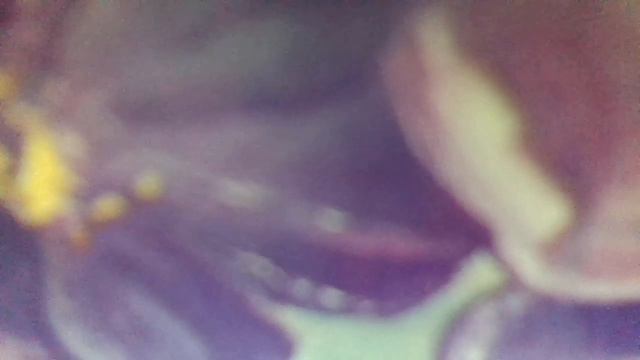 Женский праздник(женский праздник -значит, весна.Этот день красивый, важный,нам не до сна(наброски) смотреть онлайн