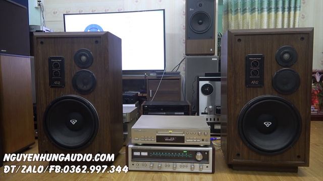 BASS NHƯ ĐỘNG ĐẤT TEST CERWIN VEGA AT 12 смотреть онлайн