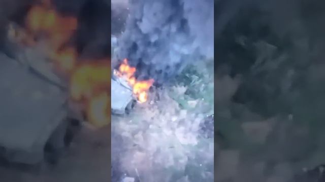 Очі та Жало: Кринки 23.12.23 смотреть онлайн