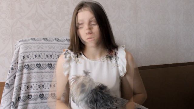 Как наладить отношения с кроликом? | Как успокоить кролика? ЧАСТЬ1 смотреть онлайн