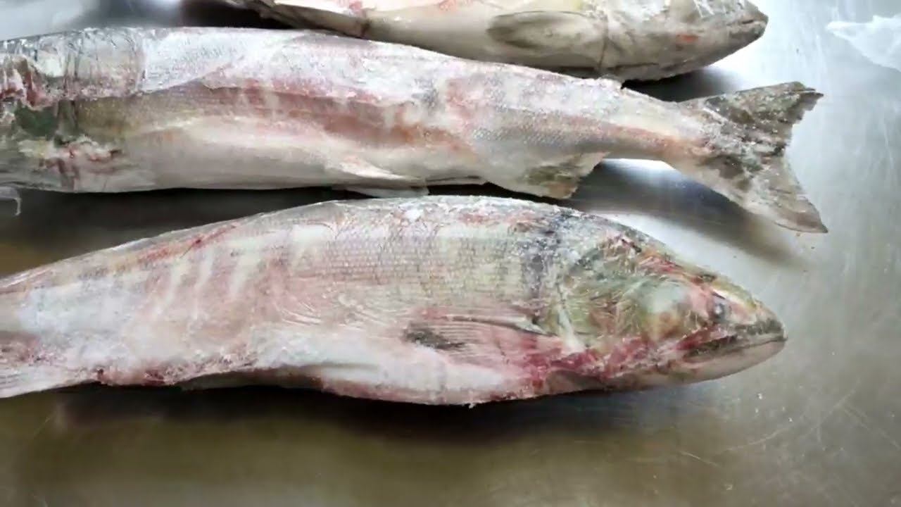 Кета тихоокеанская потрошеная с головой смотреть онлайн