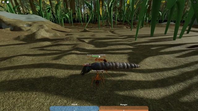 Ant Life | How to Ant | ROBLOX смотреть онлайн