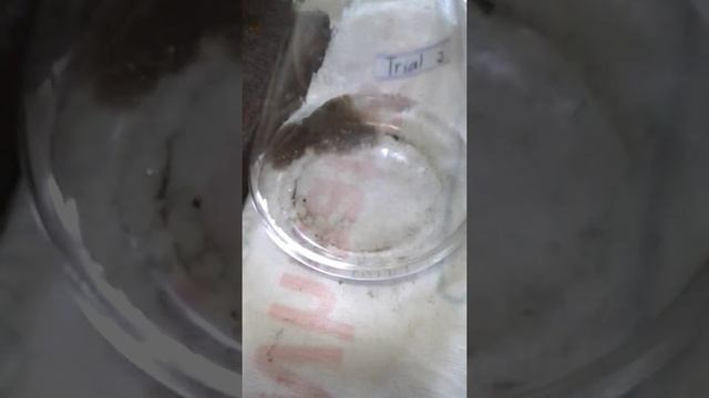 Standardization of KMnO4 using Na2C2O4 смотреть онлайн