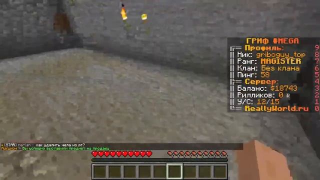 Играем на RillyWorld смотреть онлайн