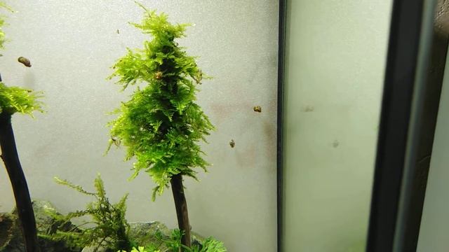 Парк Монрепо месяц спустя. смотреть онлайн