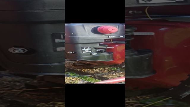 новый двигатель на мотороллер