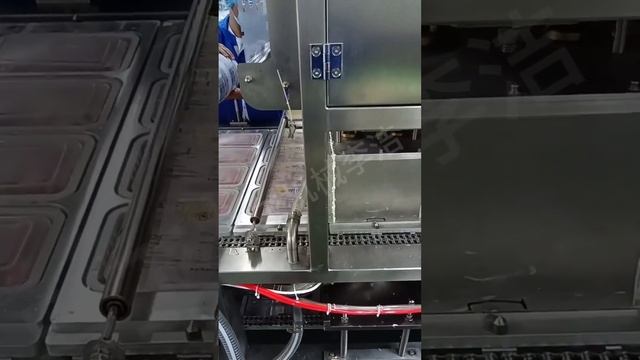 MAP sealing machine,automatic vacuum sealer for trays смотреть онлайн
