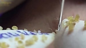 Satisfying for Relaxing Every Day with Roza Spa #0