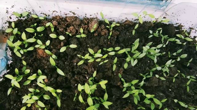 Уют и его малая часть смотреть онлайн