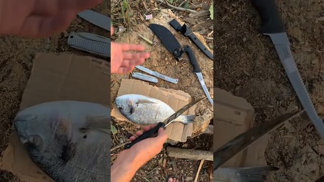 Нож ,Рыбак 2 , Тест + Акция заказать можно Вотсапе 89679387166 смотреть онлайн