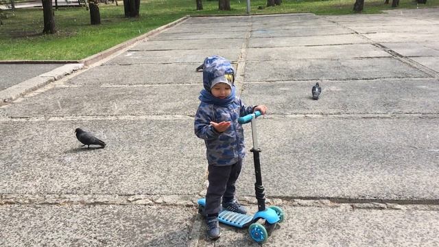 В Новосибирске снег в мае смотреть онлайн