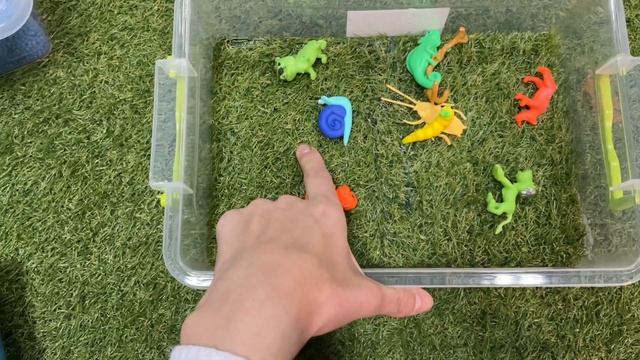 Сенсорные коробки для развития речи. Зачем они нужны? смотреть онлайн