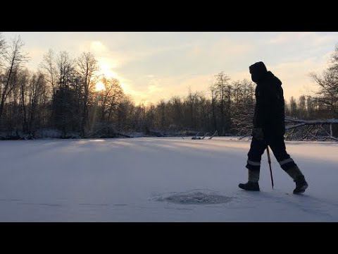 Ловля Крупной ПЛОТВЫ и ОКУНЯ в КОРЯЖНИКЕ где найти рыбу??? смотреть онлайн