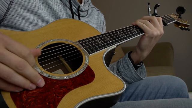 Alan Walker - Alone Acoustic Guitar Cover смотреть онлайн