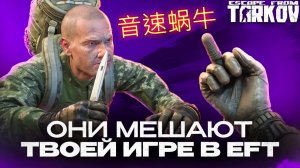 Это главные вонючки в Escape From Tarkov