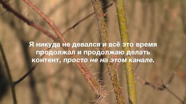 Фуреон Жив (но не на этом канале) смотреть онлайн