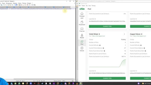 Как создавать плоты(Плотить) через Mad Max для майнинга Chia Coin смотреть онлайн