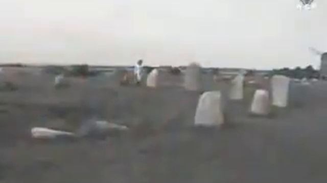 SAGA - Ode To A Dying People