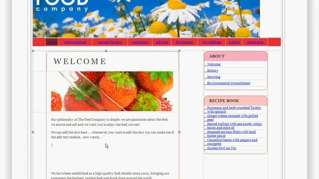 CMS Static Page Edit смотреть онлайн