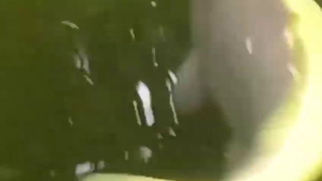 Рыбки могут вас озолотить! Так вот как можно достать монетку! смотреть онлайн