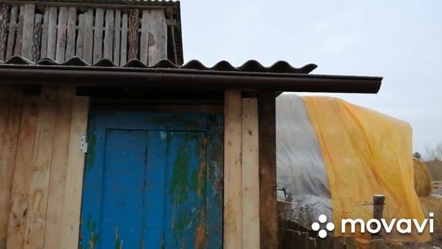 УСПЕЕМ ЛИ ПОСТРОИТЬ БЫЧАТНИК К ОТЕЛАМ?!КАК ПРОХОДЯТ ВЫХОДНЫЕ В ДЕРЕВНЕ! смотреть онлайн