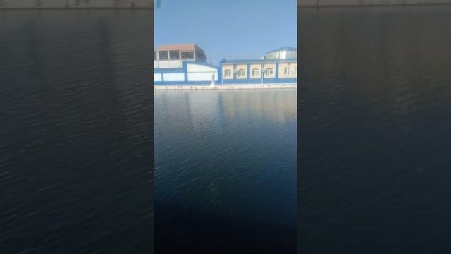 Astraxan Volga daryosi qirgʻoqlarida смотреть онлайн