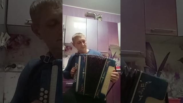 Наигрыш на гармони. Геннадий Шмелёв смотреть онлайн
