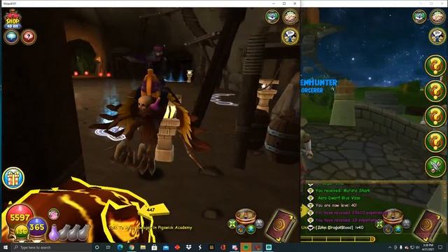 Going from level 1 to 90 LIVE in ONE DAY | PART 1 | Wizard101 Guide смотреть онлайн