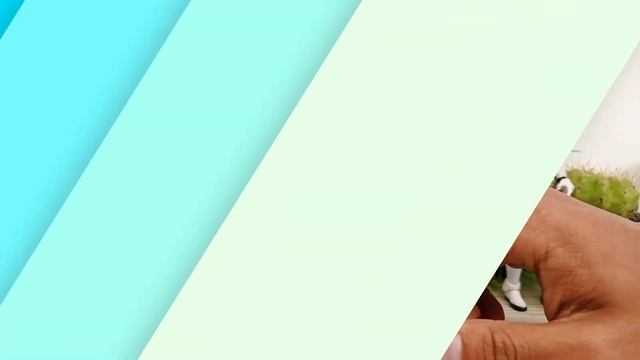 Cómo Puedo Borrar Completamente MySQL en Ubuntu 21.04 de Manera Sencilla смотреть онлайн