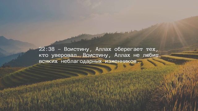 Глава 22 — Паломничество смотреть онлайн