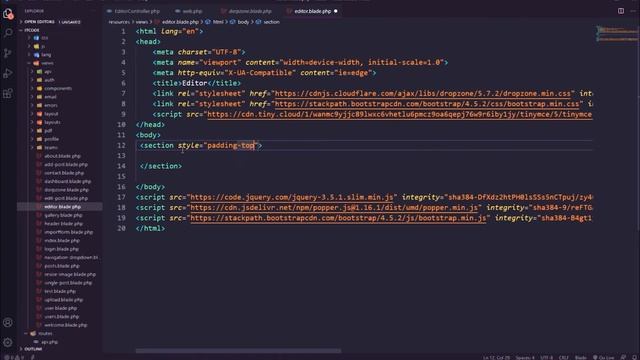 38-Laravel 8 Tutorial - TinyMCE WYSIWYG HTML Editor لارافيل 8 смотреть онлайн