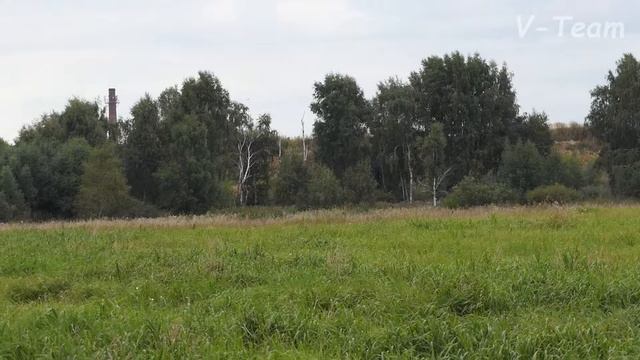 Басенджи Itury Puzzle Extraordinary Smart. Осенний марафон - 2017. смотреть онлайн