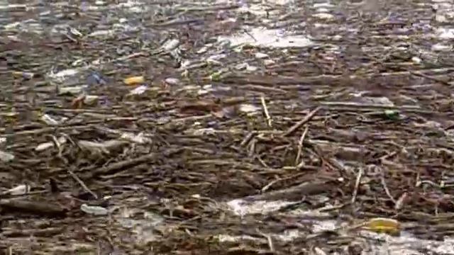 Романтические страсти