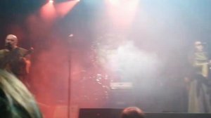 Тролль Гнёт Ель - В плену грибов