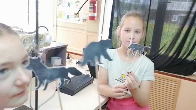 Театр теней