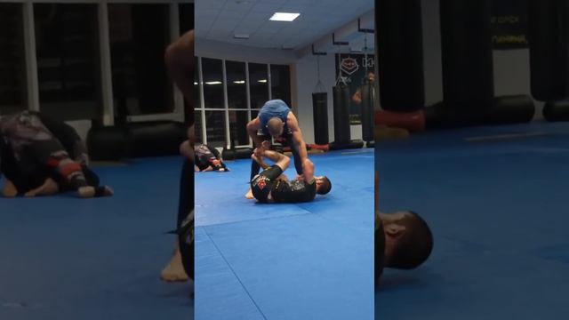 час борьбы без перерыва #маги #даги #пиранья смотреть онлайн