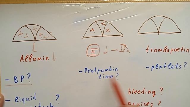 liver 5 смотреть онлайн