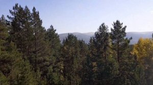 Гремячая Грива Красноярск.