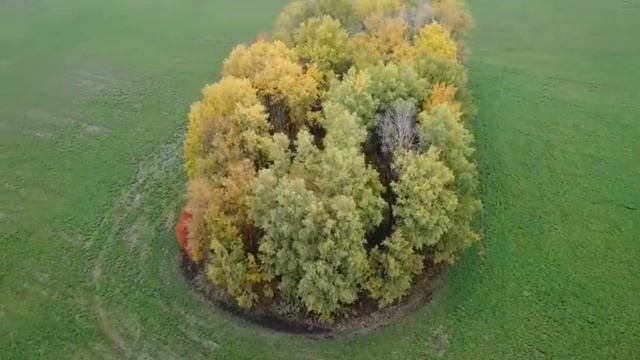 ОСЕННИЕ ПЕЙЗАЖИ БЕЛАРУСИ смотреть онлайн