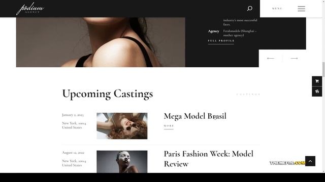 Aino Fashion Model Agency WordPress Theme fashion clean смотреть онлайн