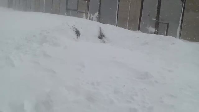 выбрался из сугроба на Suzuki Grand Vitara V6, 2.5л, 1998г., АКПП, 4wd смотреть онлайн