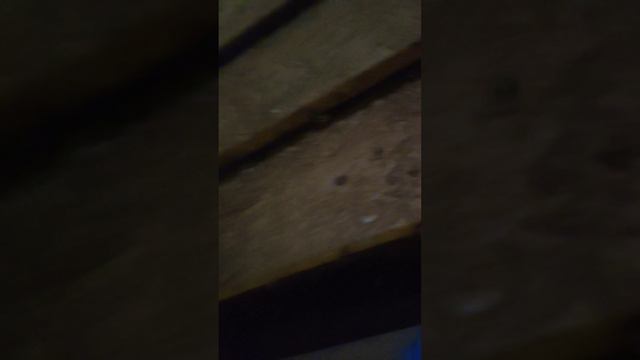 прогулка по заброшен (и не только﹥:3) смотреть онлайн