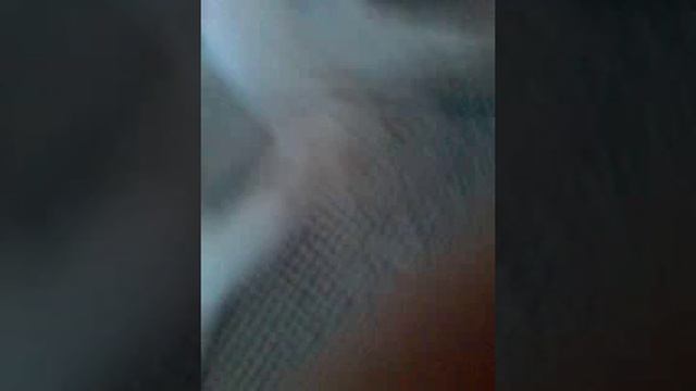 Мой кот бесится(2) смотреть онлайн