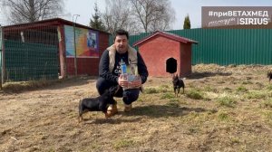 №32. Корм для цвергпинчера