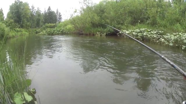 Рыбалка на р. Большая Осипова. Щука, хариус, окунь. 05.08.2021г. смотреть онлайн