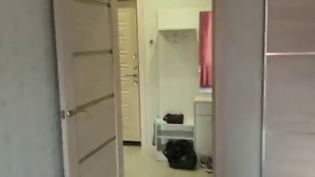 Подмосковье, аренда. 1-к. Пос. Бородино. 35000 руб/мес + ЖКХ смотреть онлайн